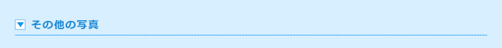その他の画像
